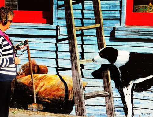 Sheffield Murals Audio Tour