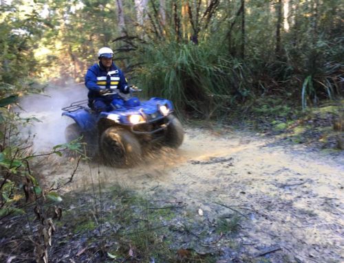 Mt Roland Quad Bikes